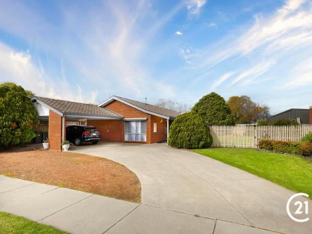 3 Bedroom House Echuca, VIC 103403631