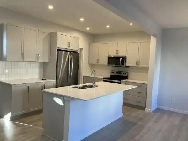 3 Bedroom House Edmonton AB 104863347