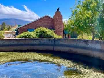 Barrydale, Kannaland Local Municipality, Garden Route District Municipality, Western Cape