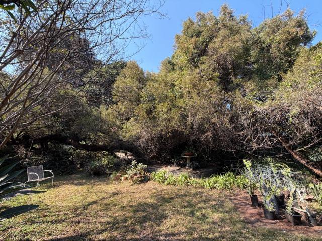 3 Bedroom House For Sale in Lyttelton Manor