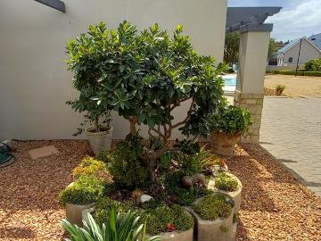 3 Bedroom House For Sale in Mount Royal Golf Estate