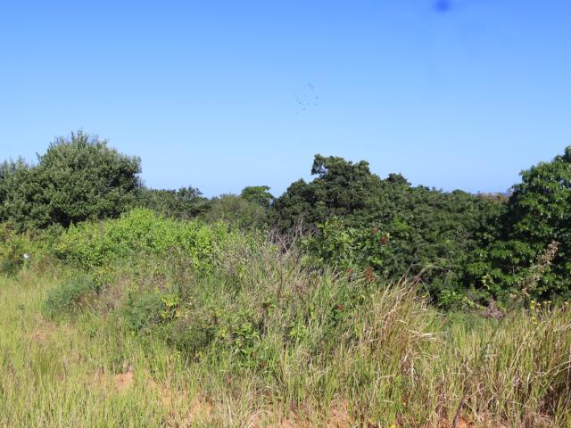 3 Bedroom House For Sale in New Salt Rock City