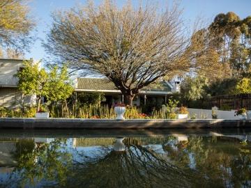 Prince Albert, Prince Albert Local Municipality, Central Karoo District Municipality, Western Cape