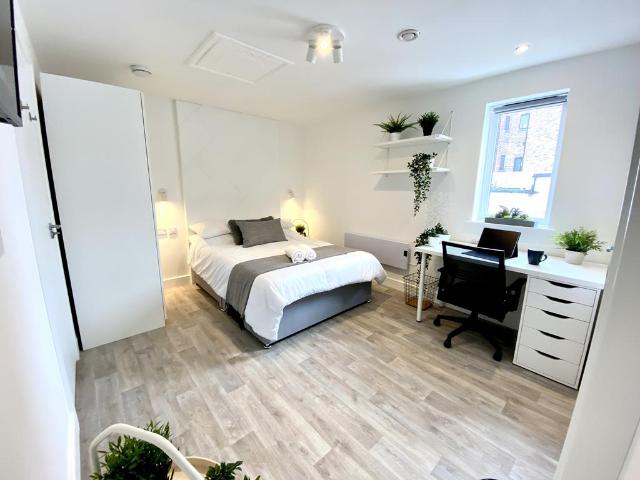 3 bedroom house of multiple occupation to rent