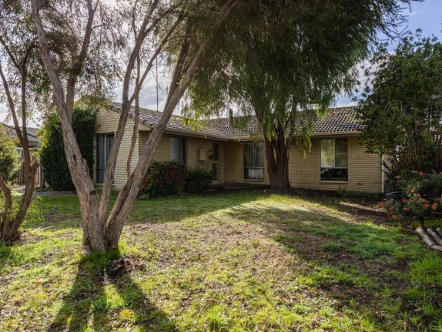 3 Bedroom House Manjimup WA 106010537