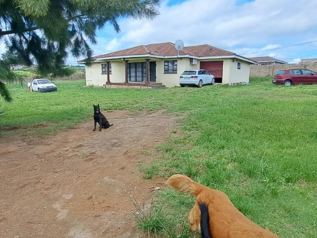 3 Bedroom House To Let in Ulundi
