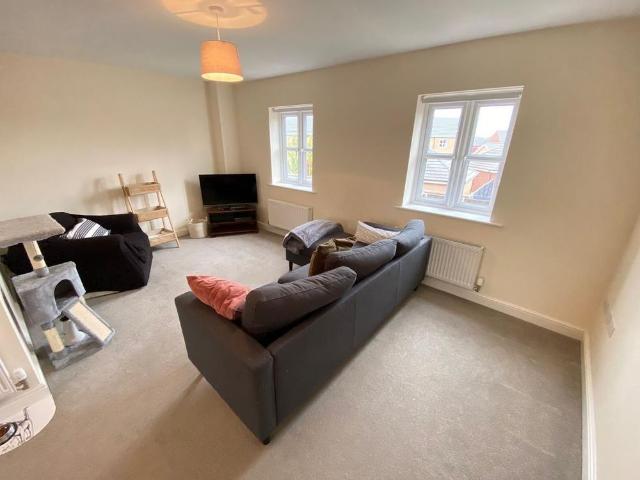 3 bedroom house to rent