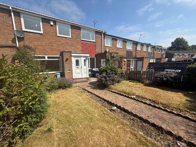 3 bedroom house to rent