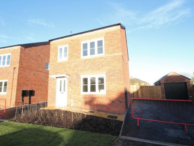 3 bedroom House To Rent