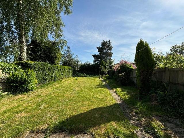 3 bedroom house to rent