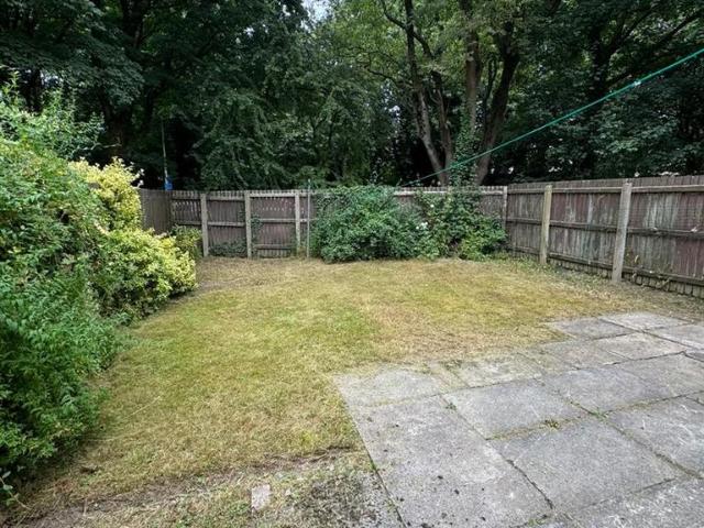 3 bedroom house to rent