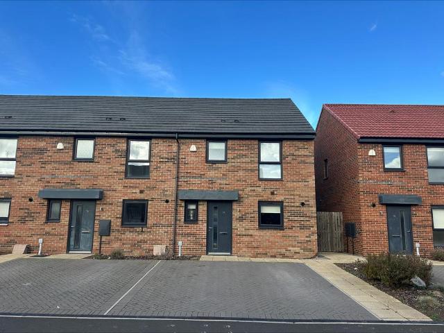 3 bedroom house to rent