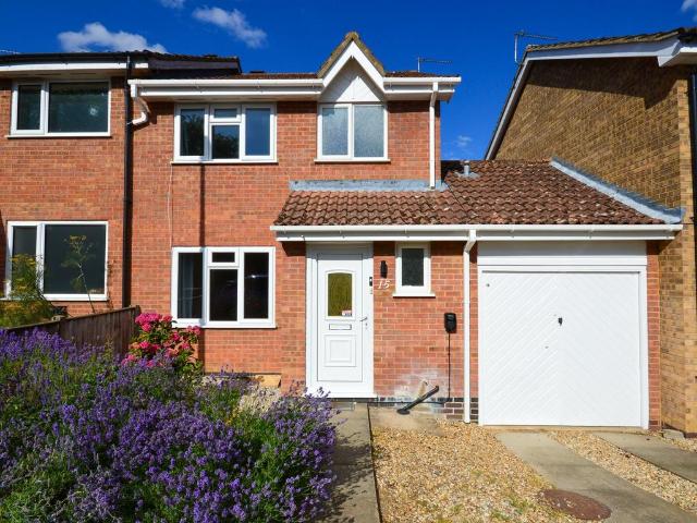 3 bedroom house to rent