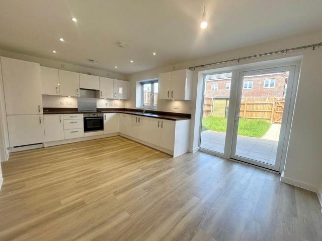 3 bedroom house to rent