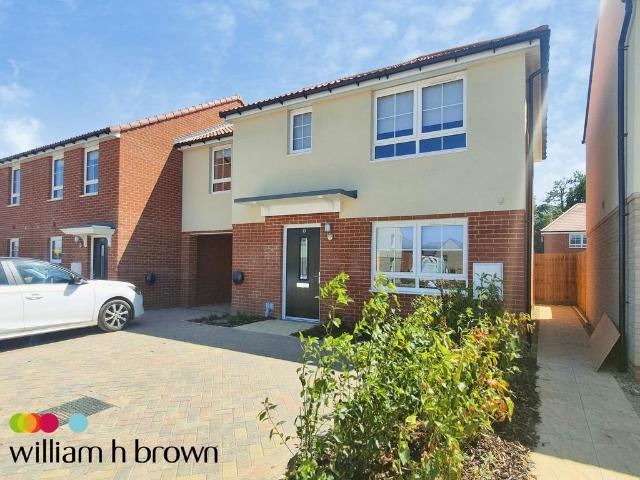 3 bedroom house to rent