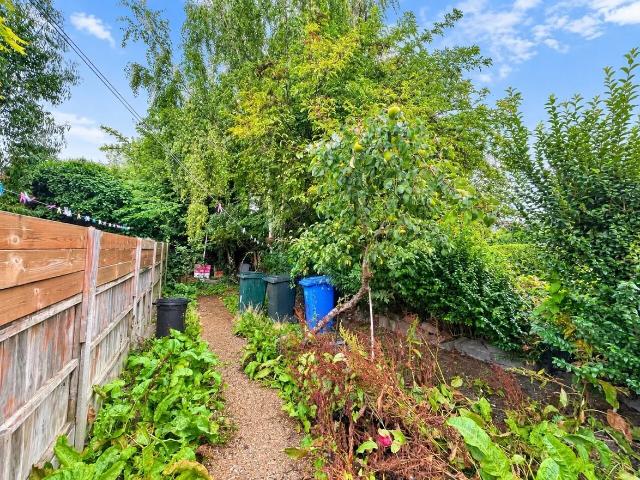 3 bedroom house to rent
