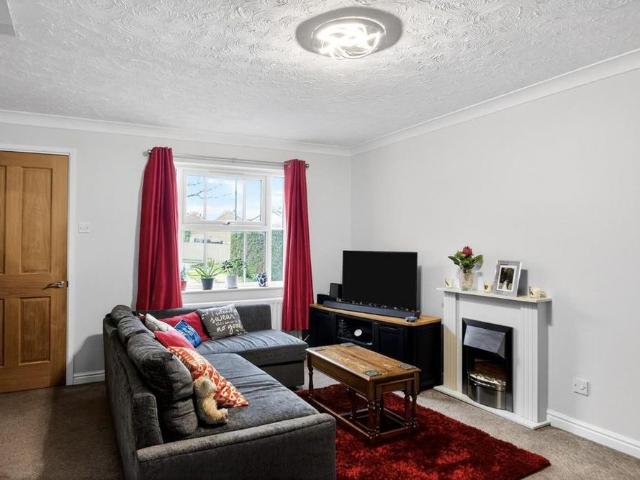 3 bedroom house to rent