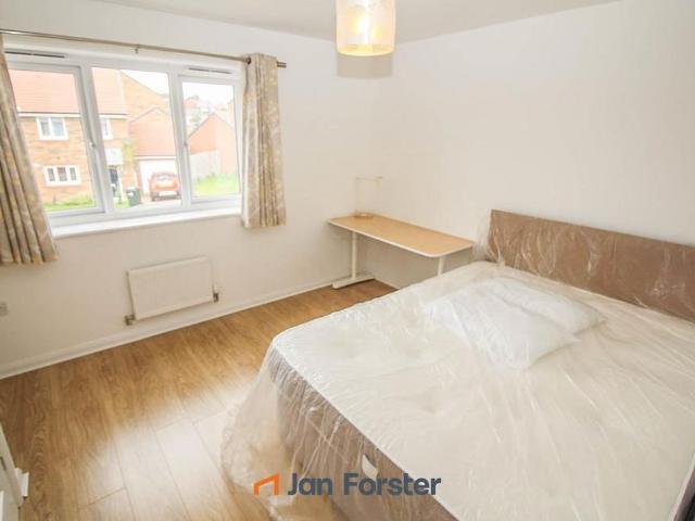 3 bedroom house to rent