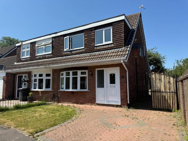 3 bedroom house to rent