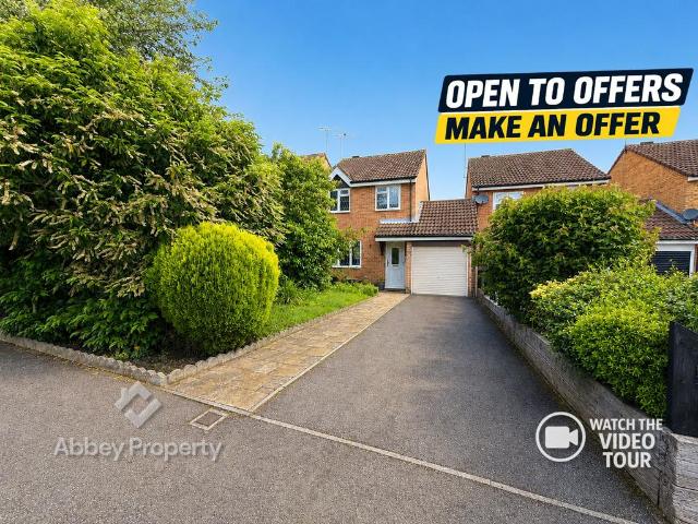 3 bedroom house to rent