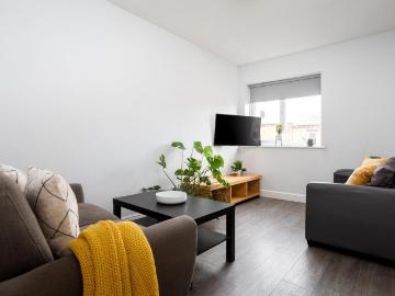 3 bedroom house to rent