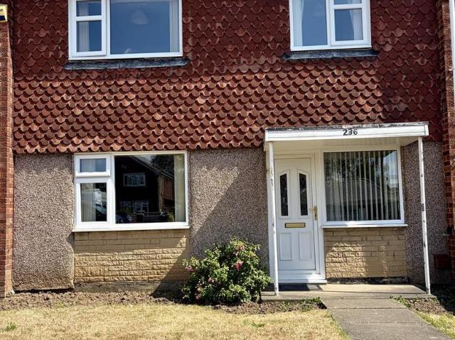 3 bedroom house to rent