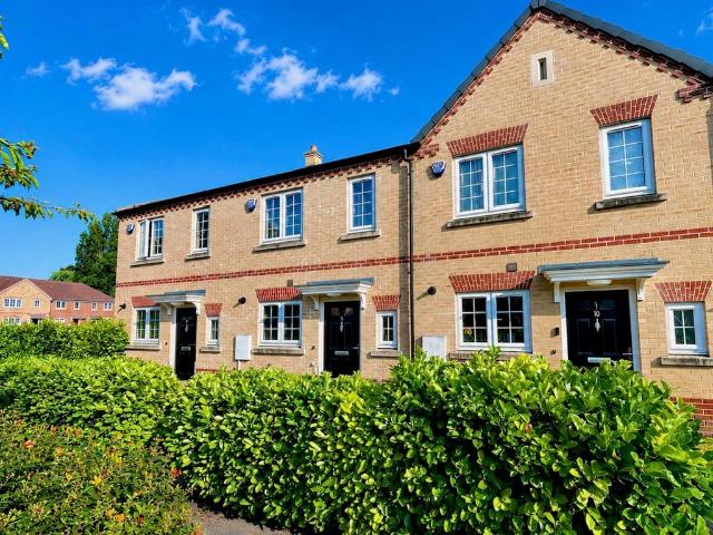 3 bedroom house to rent