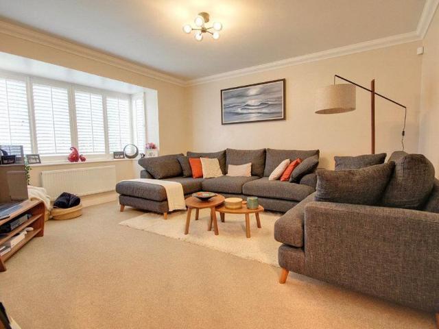 3 bedroom house to rent