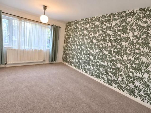 3 bedroom house to rent