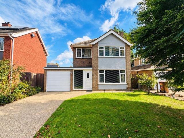 3 bedroom house to rent