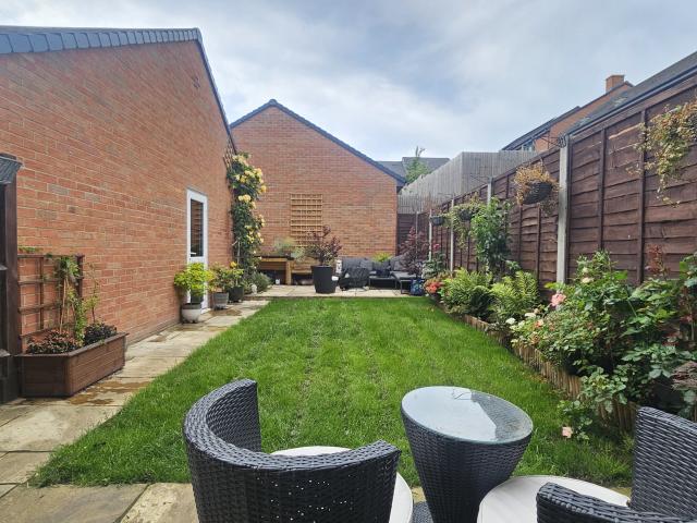 3 bedroom house to rent