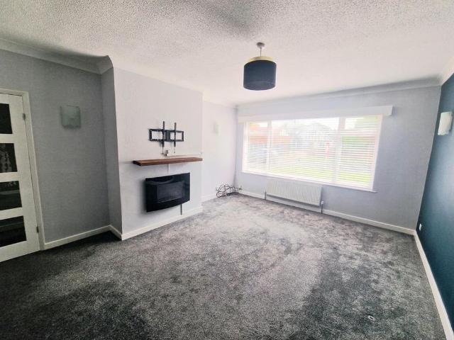 3 bedroom house to rent