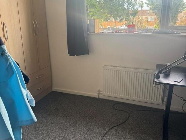 3 bedroom house to rent