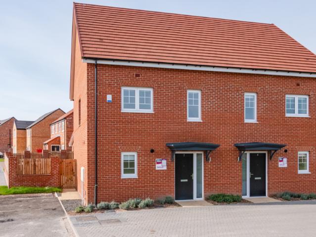 3 bedroom house to rent