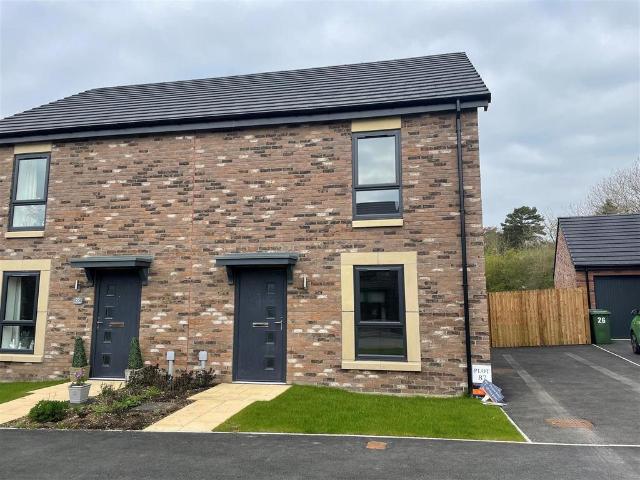 3 bedroom house to rent