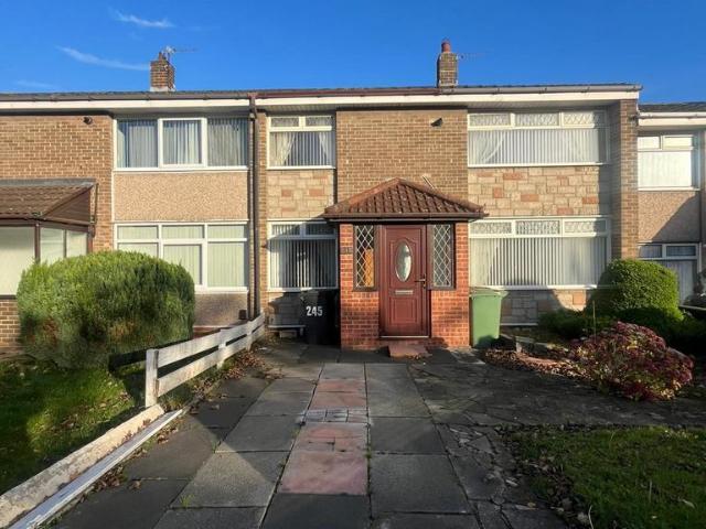 3 bedroom house to rent