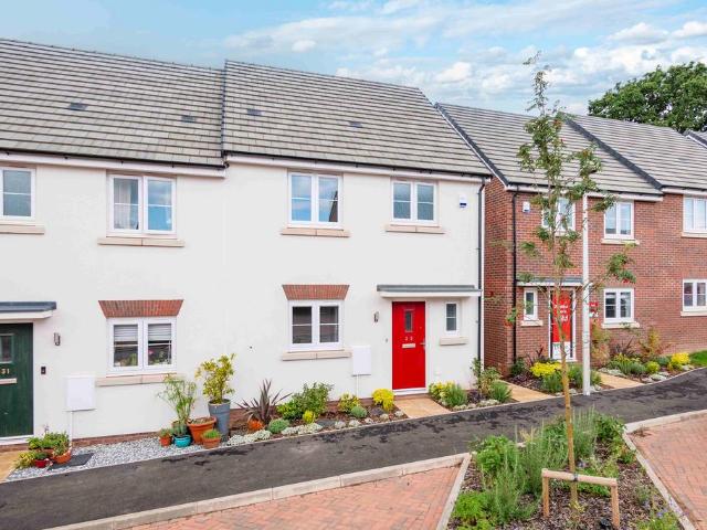 3 bedroom house to rent