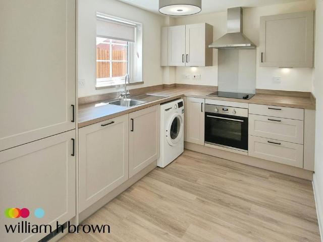 3 bedroom house to rent