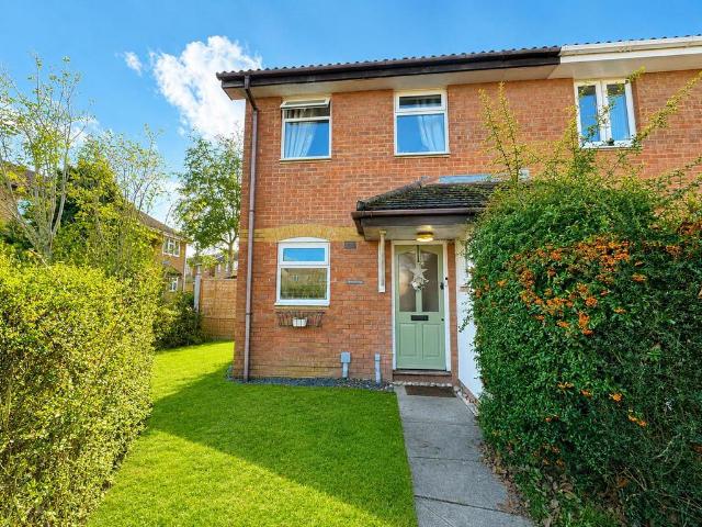 3 bedroom house to rent