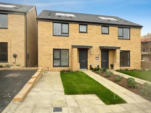 3 bedroom house to rent