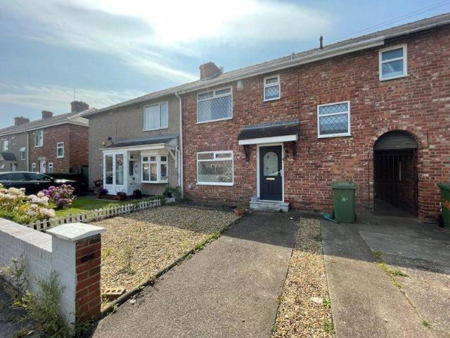 3 bedroom house to rent