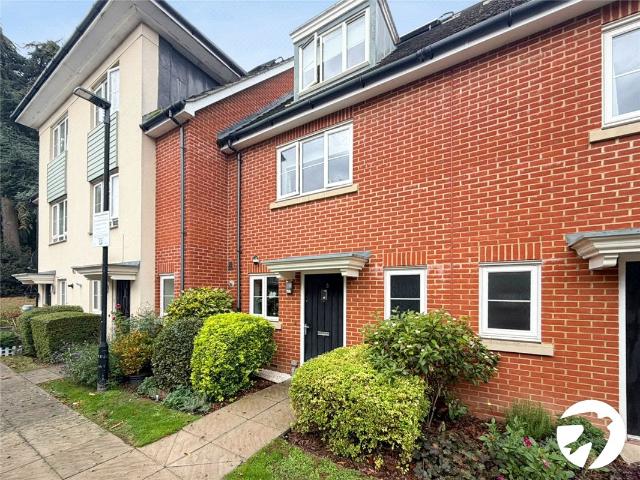 3 bedroom house to rent