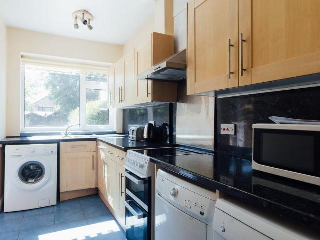 3 bedroom house to rent