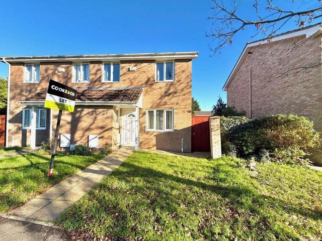 3 bedroom house to rent