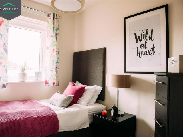 3 bedroom house to rent