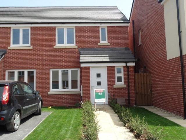 3 bedroom house to rent