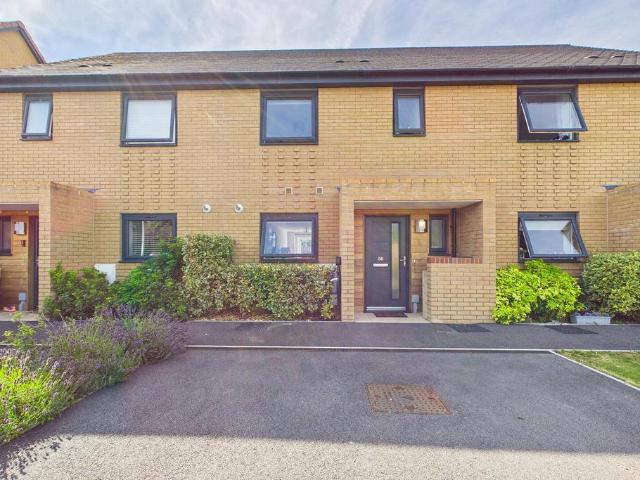 3 bedroom house to rent