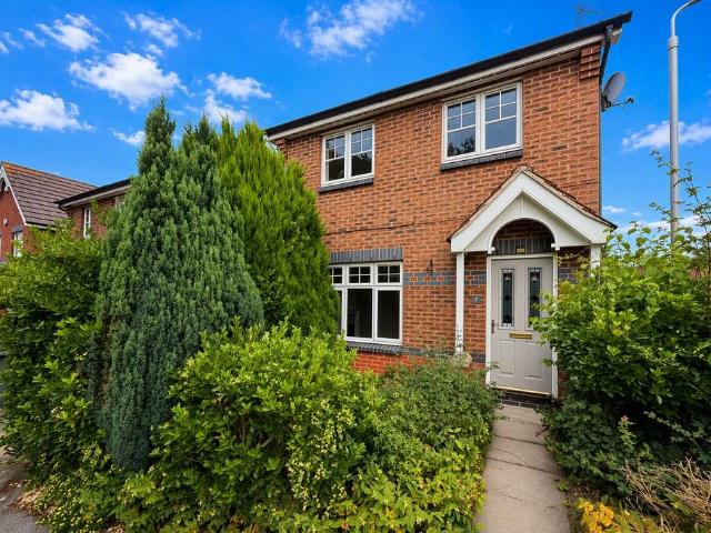 3 bedroom house to rent