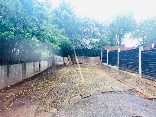 3 bedroom house to rent
