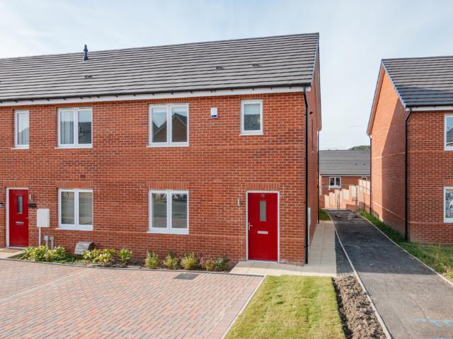 3 bedroom house to rent